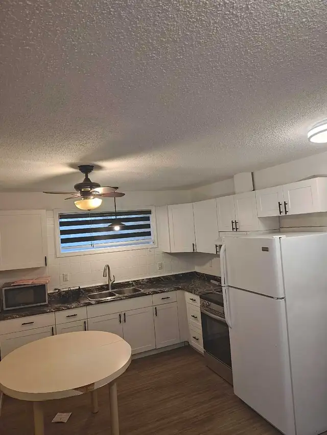 Basement Suite