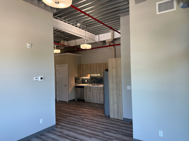 New York Style Apartment, Central Location in Long Term Rentals in Medicine Hat - Image 3