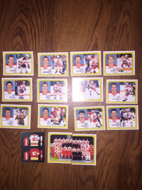 1988-89 Calgary Flames Panini hockey stickers team set