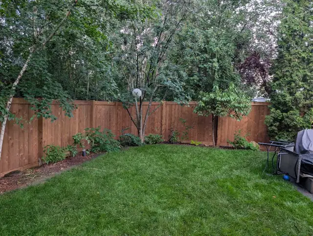Quality fences and decks533461900292925442