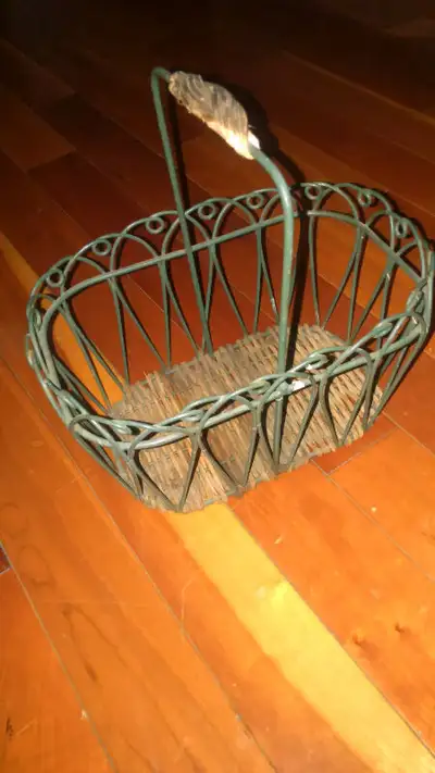 Green wire decor basket Use for eggs, fruit, cutlery, bread, art supplies etc.... $9 Silver look ste...