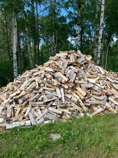 Birch fire wood , View more