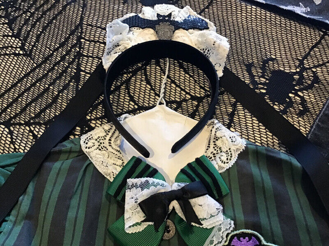 Halloween Disney Haunted Mansion Costume in Costumes in Kingston - Image 2