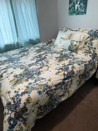 Comforter Set for Queen mattress