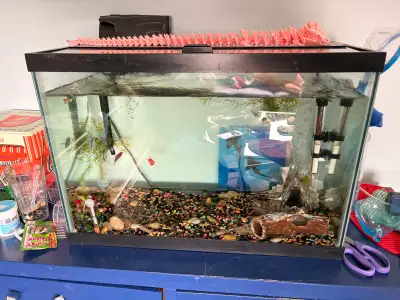 20 gallon Fish tank and accessories , View more