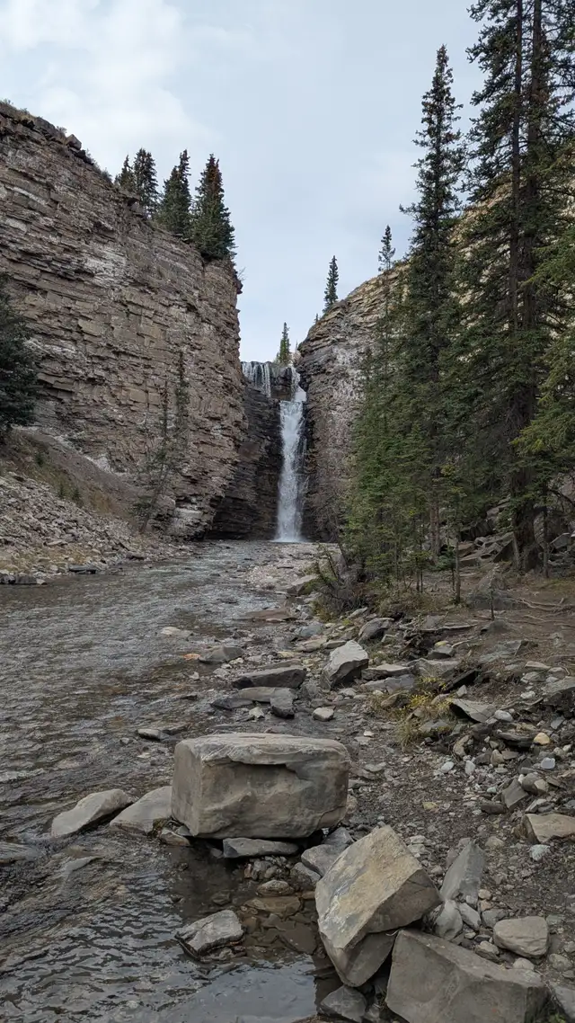 Looking for a tour guide...64258388460034120