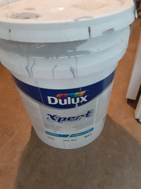 Dulux Eggshell Paint