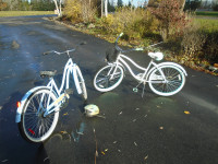 Cruiser Bikes (Kentville Area)