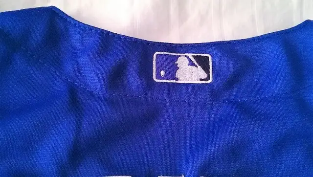 Blue Jays Jersey - Goins 17 - Women's M - Brand New Never Worn in Baseball & Softball in City of Toronto - Image 4
