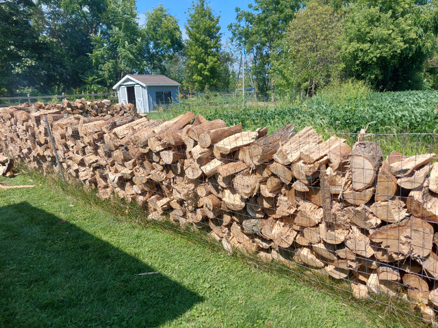 Firewood in Other in Leamington