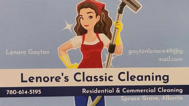 Cleaning service65592243704450120