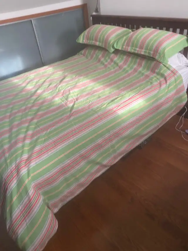 Pottery Barn Queen Size Duvet Cover and pillow covers in Bedding in City of Toronto - Image 2