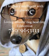 Inhome Dog Boarding  Edmonton 780-9653113