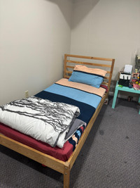 Shared room for rent girls only