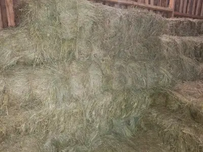 HAY for sale, View more