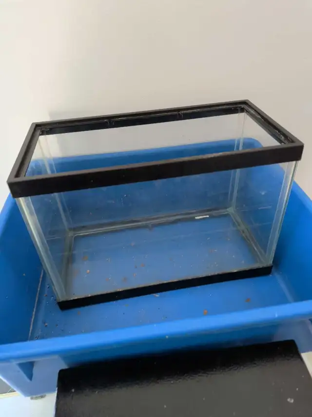 Fish Tanks & Equipment Need Gone Today | Fish for Rehoming | London ...