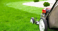 Grass cutting services.  ***affordable prices ***