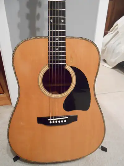 authentique BC Rich model BW1000 acoustique rare et en très bonne condition avec l'étui acheté neuve...