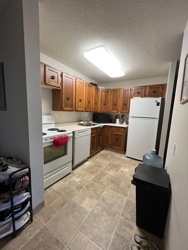Room/living area for sharing  in Long Term Rentals in Winnipeg