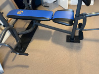 Weights and weight bench 