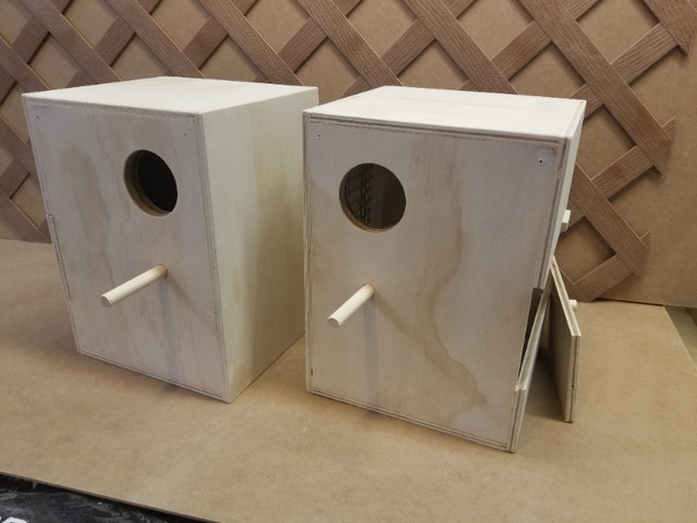 Nest boxes in Birds for Rehoming in Calgary - Image 3