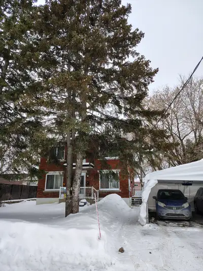 Très beau et grand 4 ½ moderne (924 pc) avec deux walk-in et beaucoup d’espaces de rangement. Haut d...