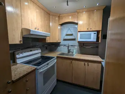 Appartement unique avec 2 mezzanines - 2 chambres à coucher 1 sa