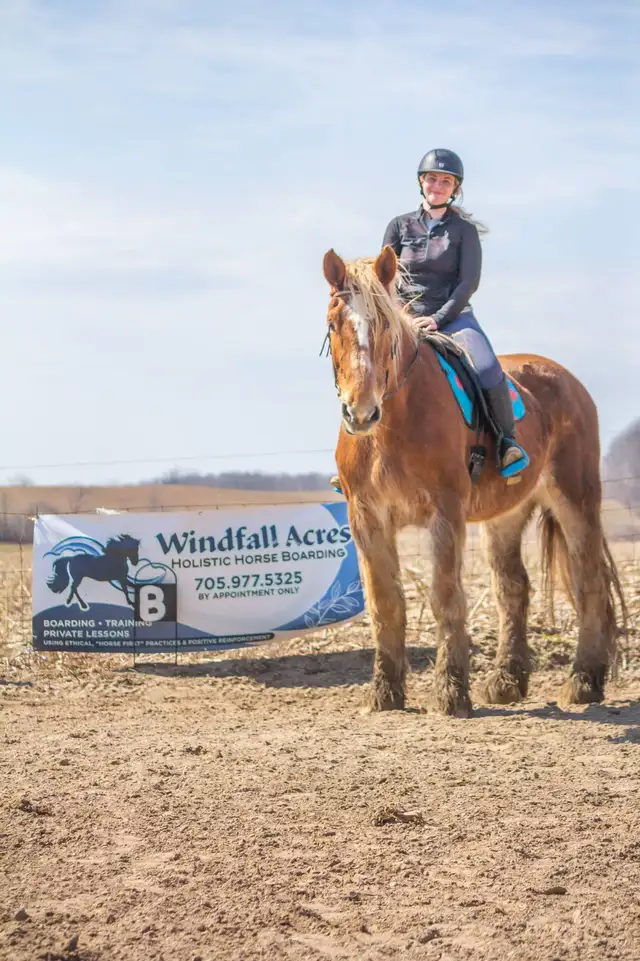 Riding Lessons- Beginners. No experience needed! All ages!438520453897267202