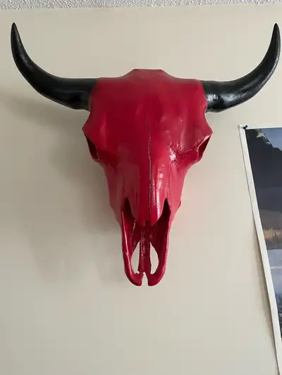 Bison Skull With Horns, View more