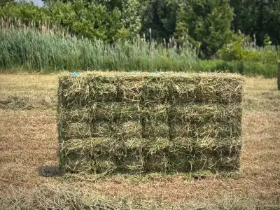 Hay - Baron Bundles of 21 small squares, View more