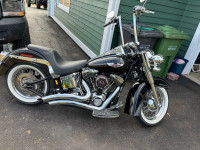 Amazing 2006 Harley Softtail Deluxe