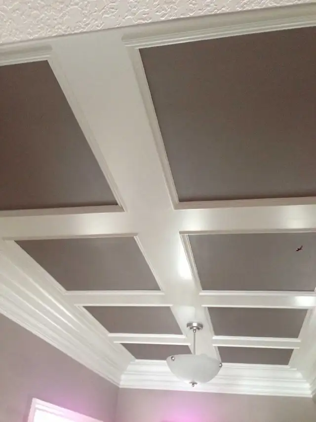 finish Carpenter597331835292887042