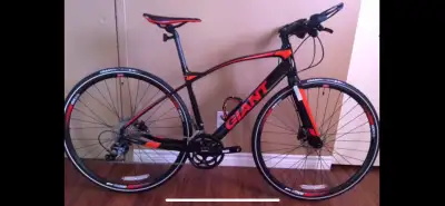 Giant Fastroad, View more