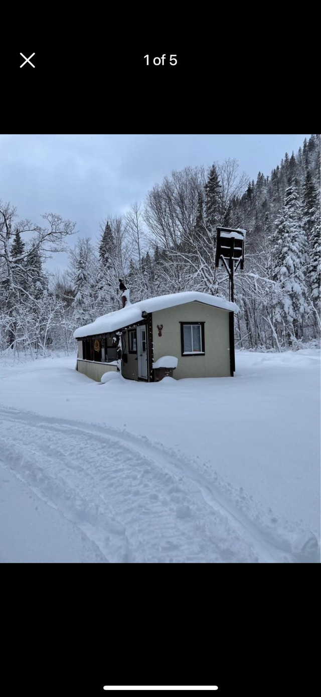 Chalet sur les terres de la couronne dans Maisons à vendre  à Gaspésie