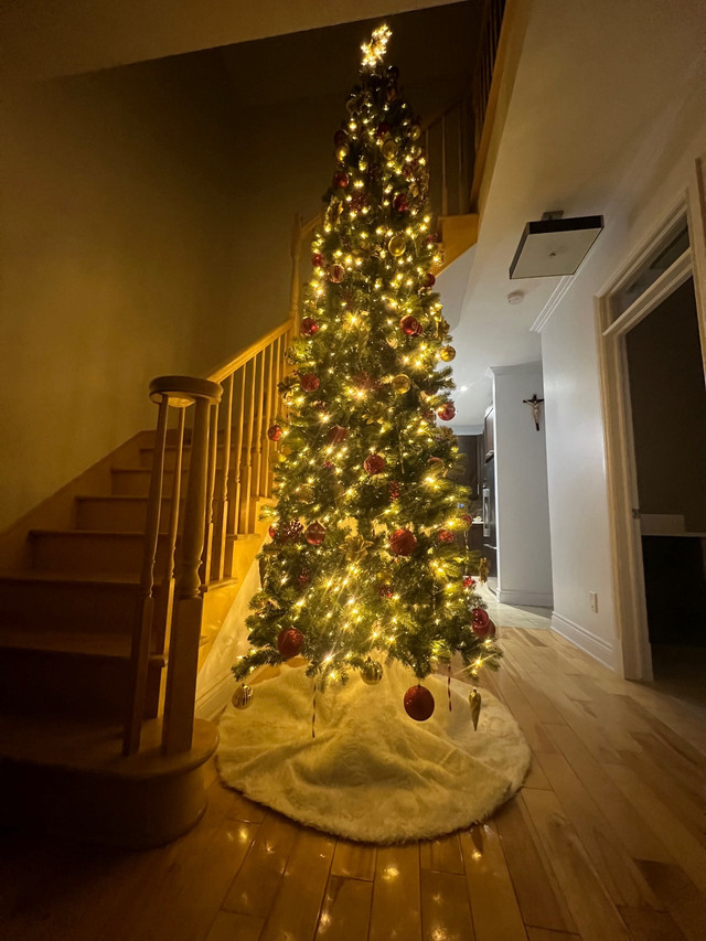 Sapin de Noël  dans Fêtes et événements  à Laval/Rive Nord - Image 3