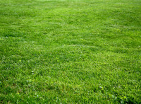 Fairview/Clayton Park. Grass cutting