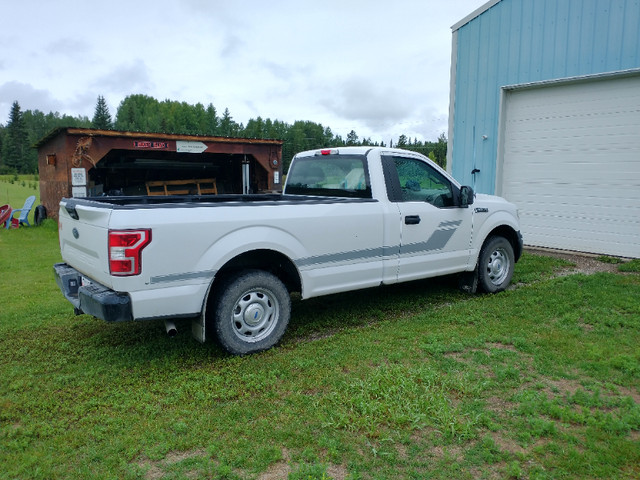 2019 F150, 2WD, Std Cab, Long Box in Cars & Trucks in Red Deer - Image 2