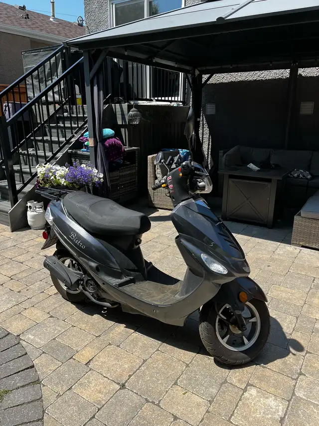 2023 Scootterre Bistro 50 in Scooters & Pocket Bikes in Winnipeg - Image 8