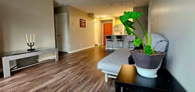 I'm looking for a roommate (clean, responsible and respectful) to share a quiet and cozy department...