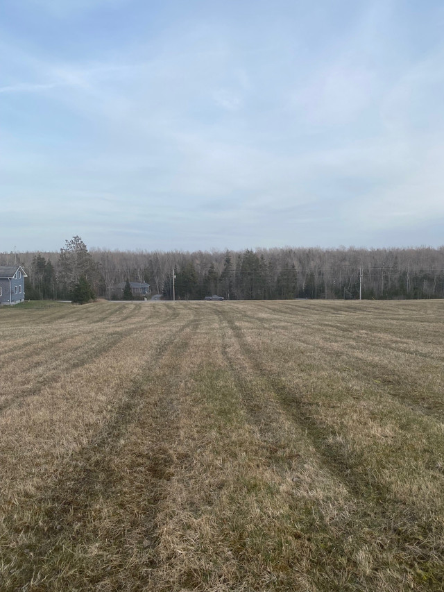 Lake front rural property 13 minutes from sydney in Land for Sale in Cape Breton - Image 4