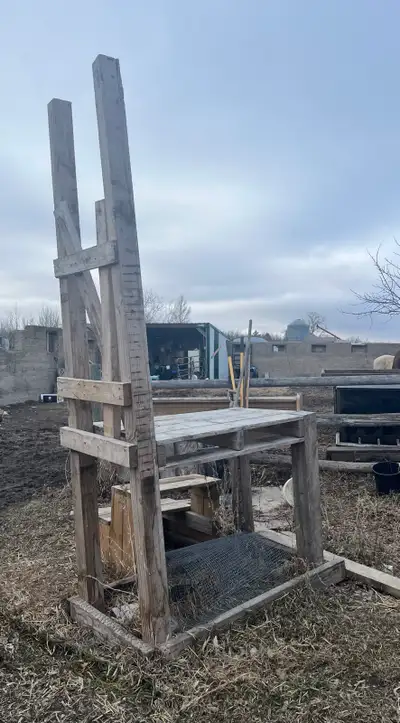 FREE Pilot Butte area Milk stand used for goats Mine were very well behaved and not left unsupervise...