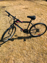 2 MOUNTAIN BIKES - TRICYCLE - SUGGEST PRICE DRASTICALLY REDUCED