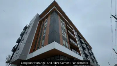 Siding/Cladding Services, View more
