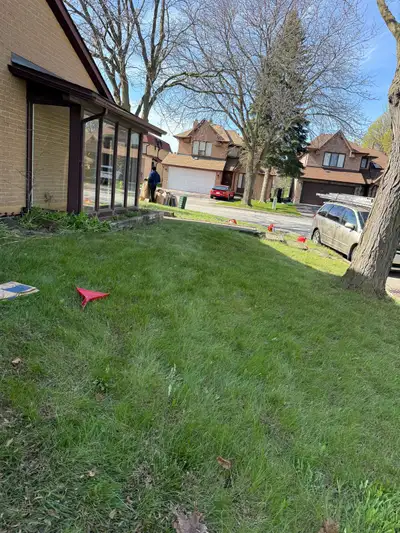 yard clean up crew , View more