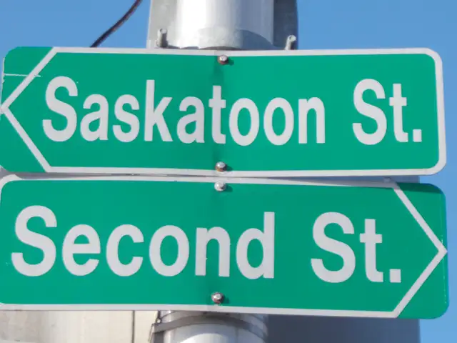 Walking Buddy Wanted Saskatoon St @ 2nd St.