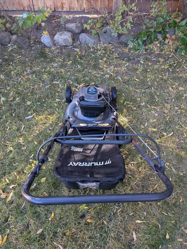 Briggs and Stratton lawn mower595974296479344643