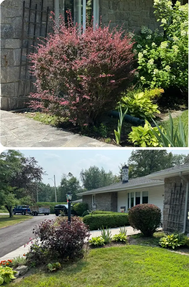Landscaping & Hedge trimming in Lawn, Tree Maintenance & Eavestrough in Ottawa - Image 7