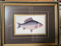 Framed Picture-Fish (Set of 2) $40 OBO