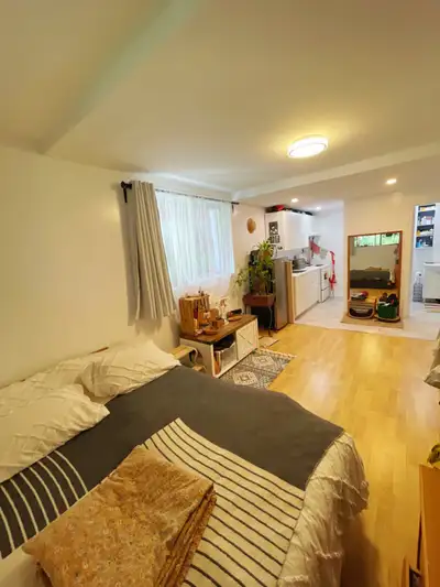 Studio 8 mins à pied métro pie-ix/joliette/Demi sous-sol (English will follow) -Date disponible: 1er...
