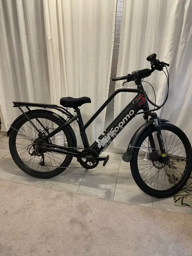 Zoomo Sport E-bike